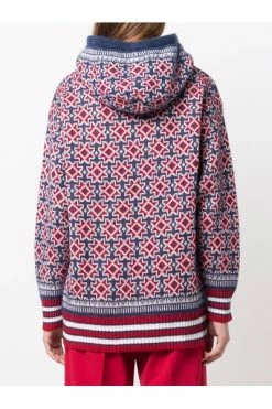 Golden Goose Hoodies & Sweatvesten Hoodies Red -Golden Goose Verkoopwinkel f18be448be599220cd73a96ed771d338